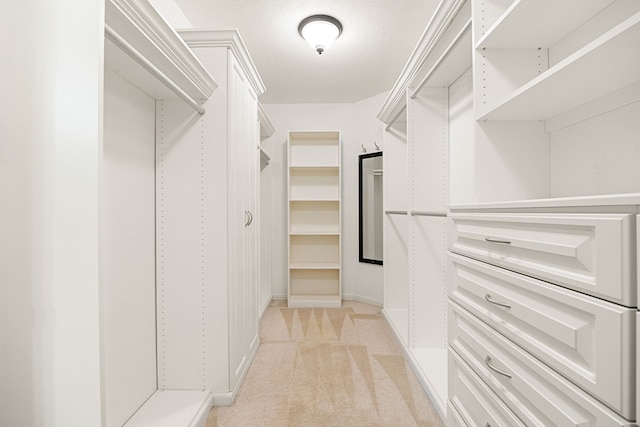 spacious closet featuring light colored carpet