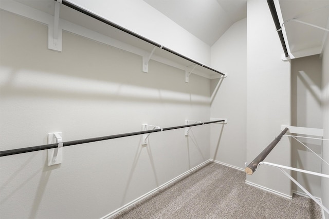 walk in closet featuring carpet and lofted ceiling