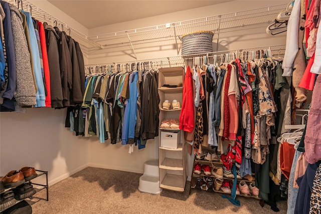 spacious closet with carpet flooring