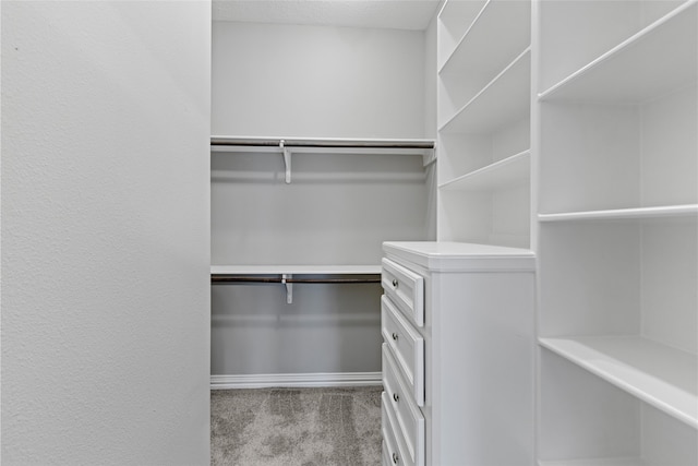 spacious closet featuring light colored carpet