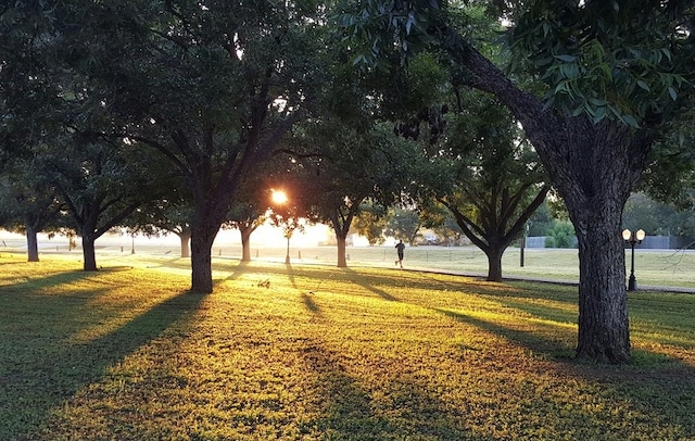 surrounding community with a yard