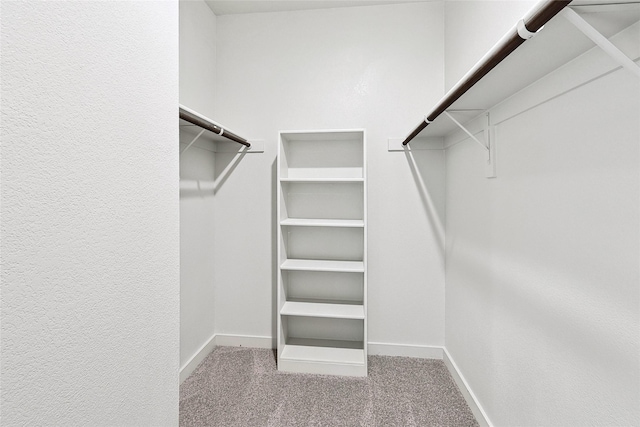 walk in closet featuring carpet