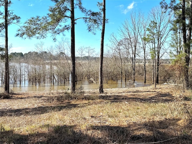 003 Fm 83, Broaddus TX, 75929 land for sale