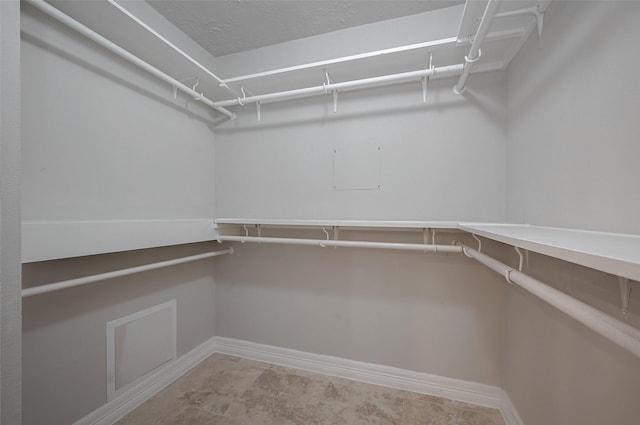 view of walk in closet