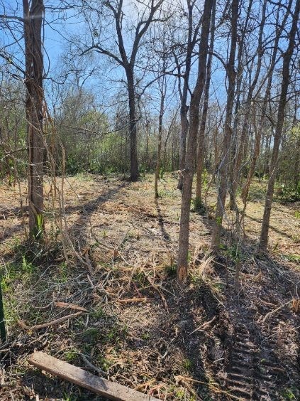 TBD W Essex Dr, Conroe TX, 77302 land for sale