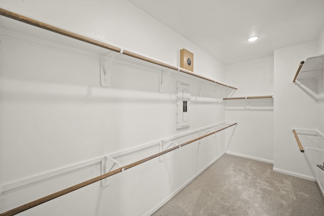 5613 Iris Harvest Ln, Houston, TX 77091 - spacious closet with electric panel and light colored carpet