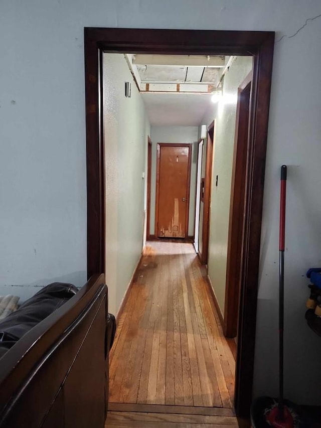 corridor with light wood-type flooring