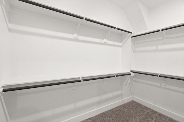 spacious closet with carpet floors