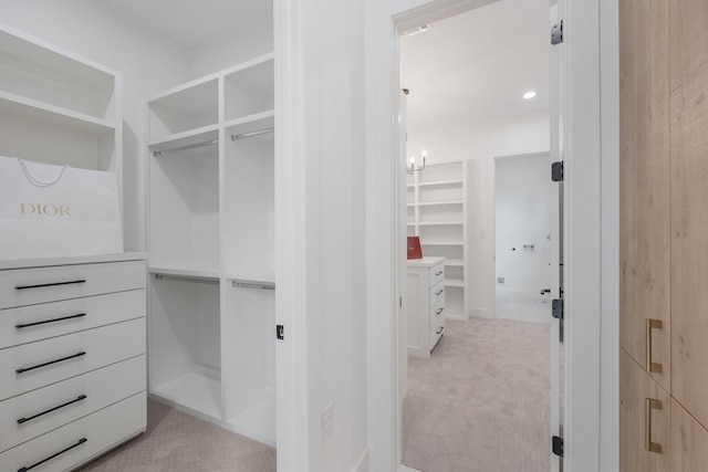 spacious closet with light colored carpet