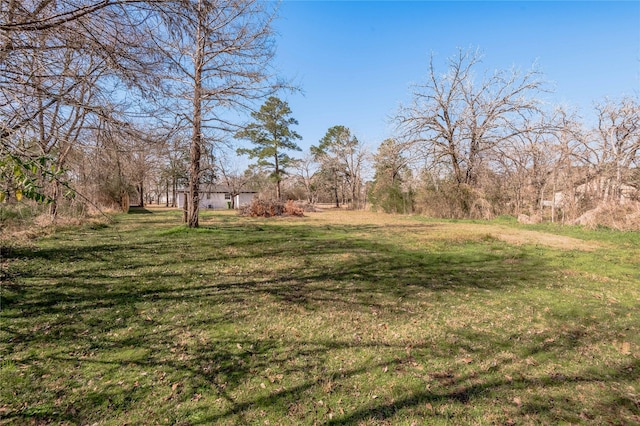 13 Merlin Spur, Huntsville, TX 77320 - view of yard