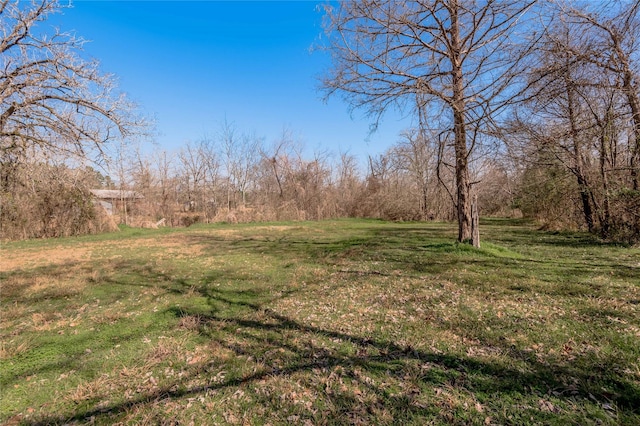 13 Merlin Spur, Huntsville, TX 77320 - view of yard