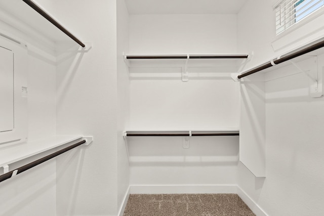 spacious closet featuring carpet flooring