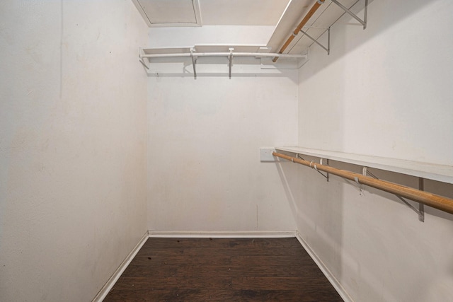 walk in closet featuring dark wood-type flooring