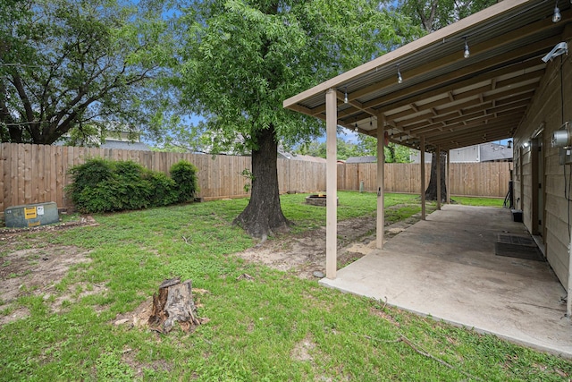 view of yard featuring a patio