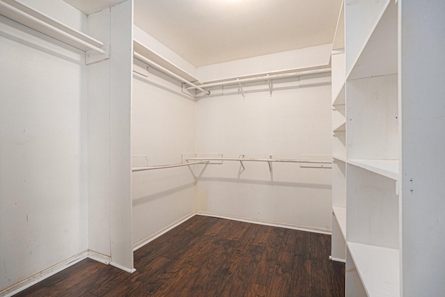 spacious closet featuring dark wood-type flooring