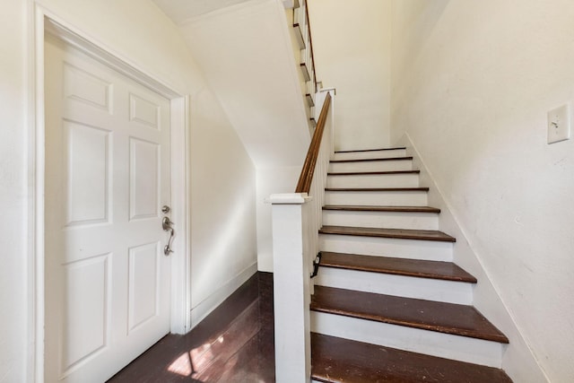 staircase with wood-type flooring