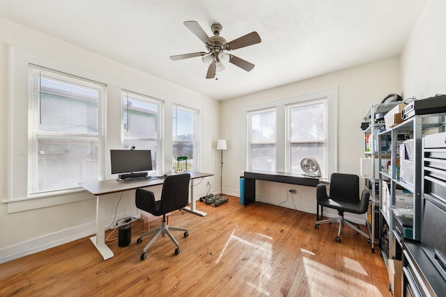 office space featuring ceiling fan and light hardwood / wood-style floors