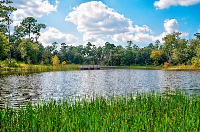 property view of water