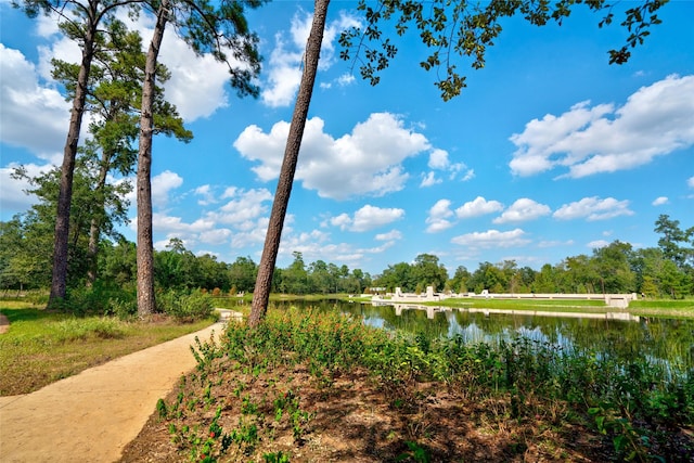 view of water feature