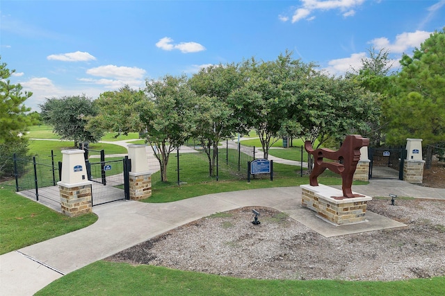 view of community with a yard