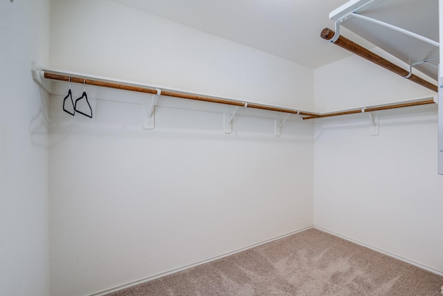 walk in closet featuring carpet floors