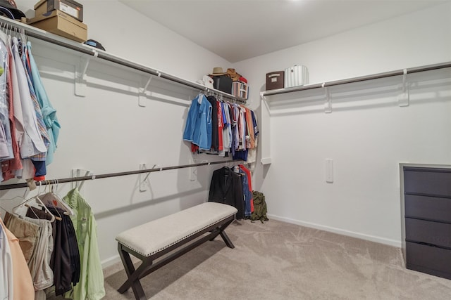 walk in closet featuring light colored carpet