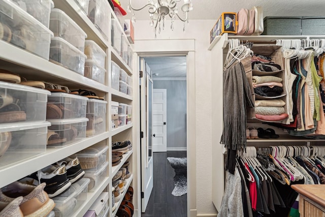 walk in closet featuring hardwood / wood-style floors and a notable chandelier