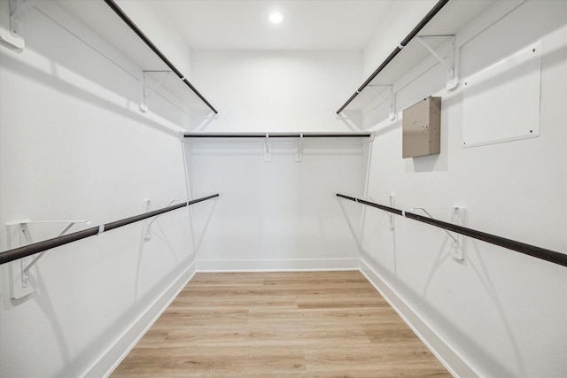 spacious closet featuring electric panel and light wood-type flooring