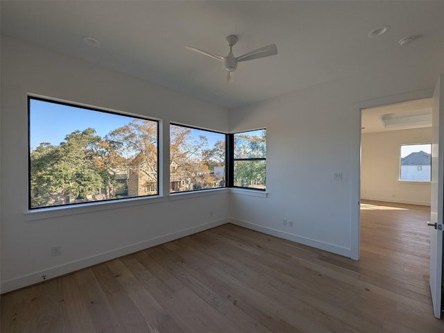 empty room with ceiling fan and light hardwood / wood-style floors