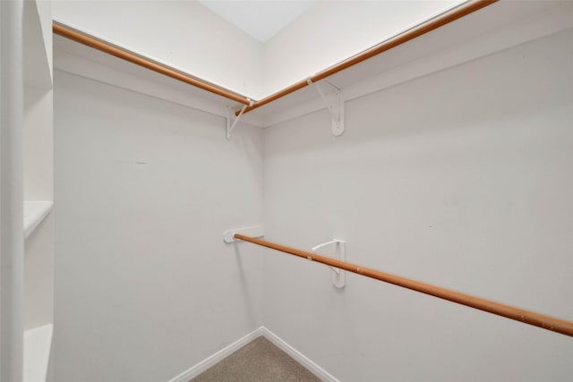 walk in closet featuring carpet floors