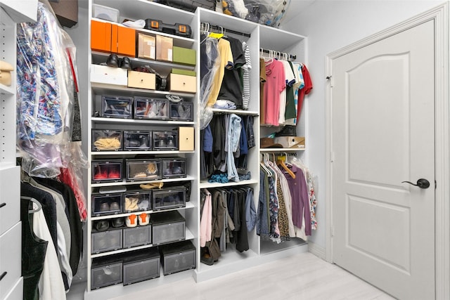 view of spacious closet