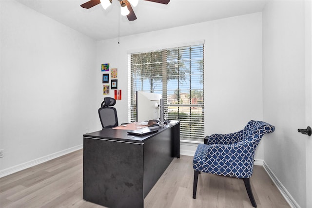 office space with plenty of natural light, ceiling fan, and light hardwood / wood-style flooring