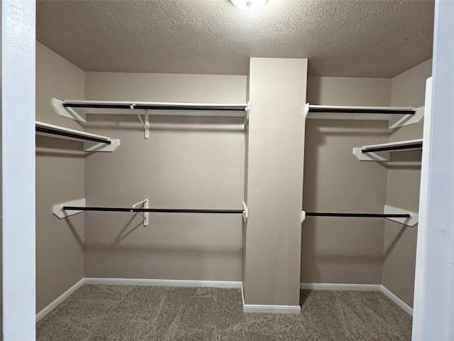 walk in closet with carpet flooring