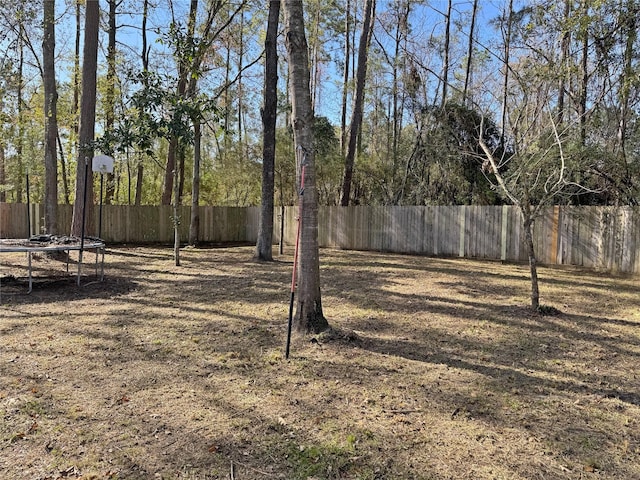 view of yard featuring a trampoline