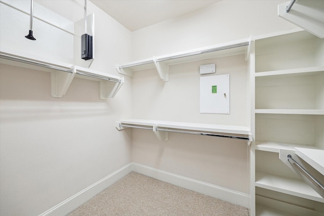 walk in closet featuring carpet flooring and electric panel