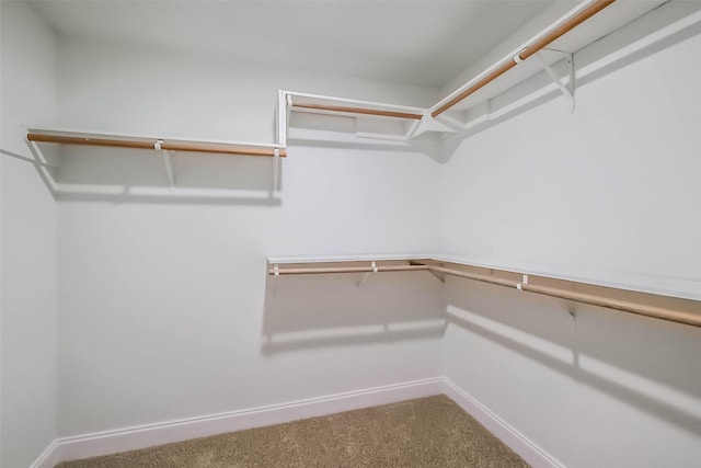 spacious closet with carpet flooring