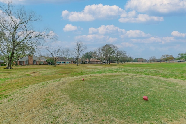 view of community with a yard