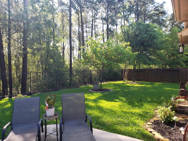 view of yard with a patio