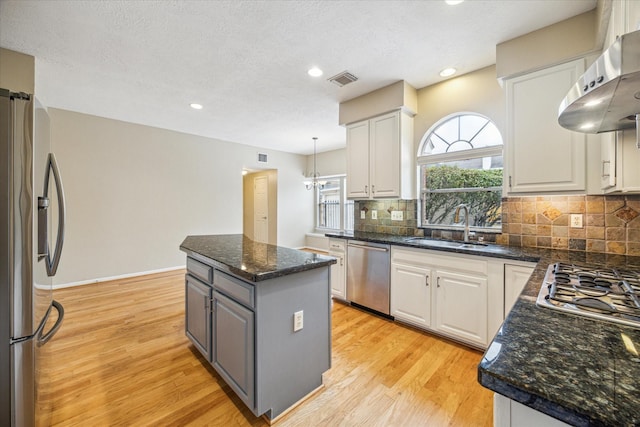 kitchen with stainless steel appliances, ventilation hood, a sink, and white cabinetry