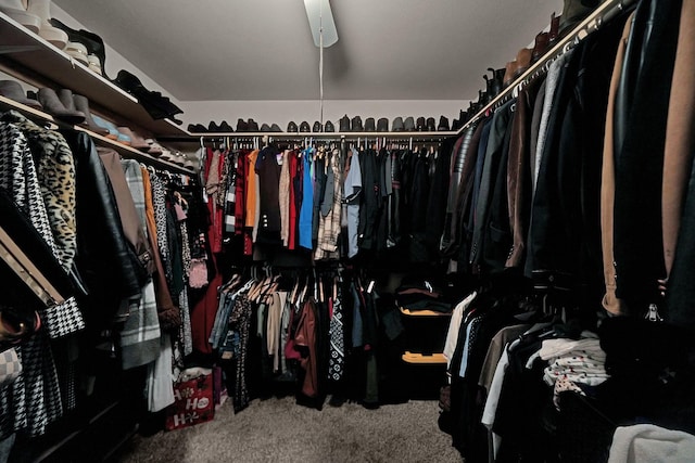 spacious closet featuring carpet floors