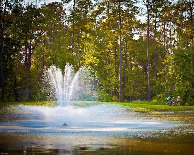 view of property's community featuring a water view