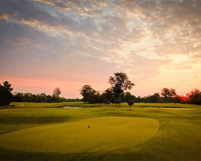 539 Oakview Bend Dr, Montgomery, TX 77316 - view of property's community featuring an area to practice putting, golf course view, a yard, and view of scattered trees
