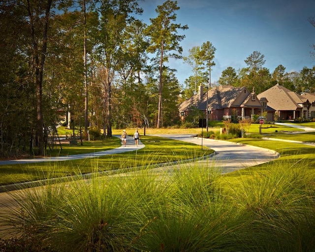 view of property's community with a yard