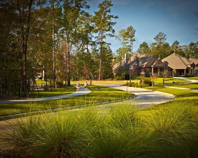 539 Oakview Bend Dr, Montgomery, TX 77316 - view of community