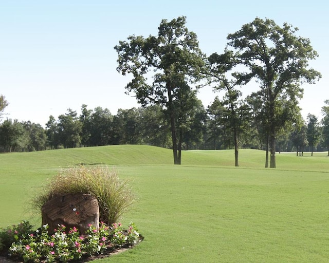 view of property's community featuring a yard