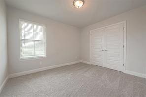 unfurnished bedroom featuring carpet flooring and a closet