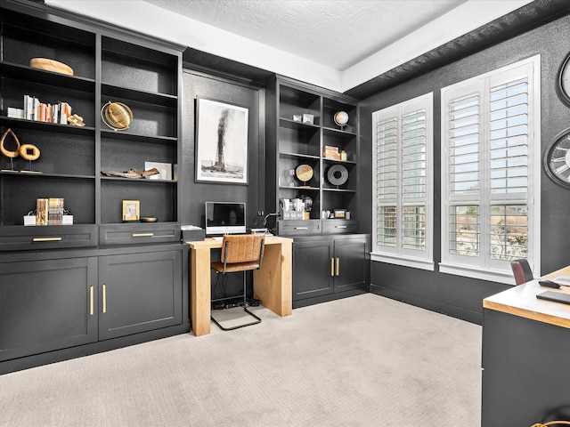 carpeted office with a textured ceiling