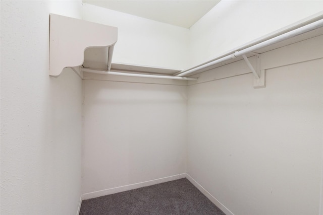 walk in closet with dark colored carpet