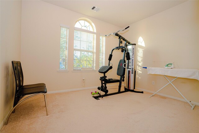15830 Mesenbrink Ln, Houston, TX 77049 - workout area with carpet floors and a wealth of natural light