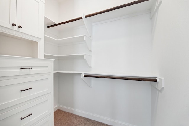 walk in closet featuring light carpet